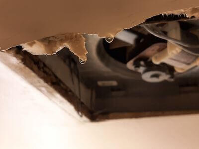 Professional water damage restoration services in Athens-Clarke County